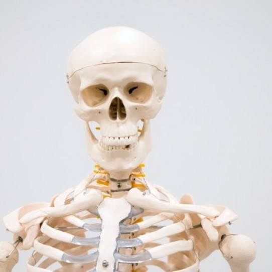 kafatasi-egriligi-ameliyati